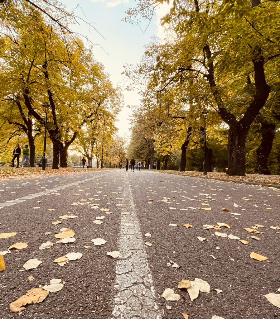 vlado-salijevic-nJQltPEcN2w-unsplash.jpg