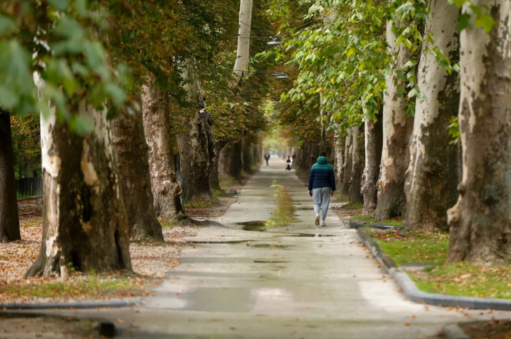 Foto: Damir Deljo, preuzeto sa Oslobođenje.ba